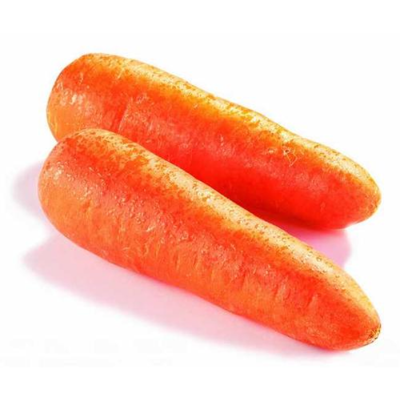 Carrot Powder Supplier - Dehydrated Juice Powder