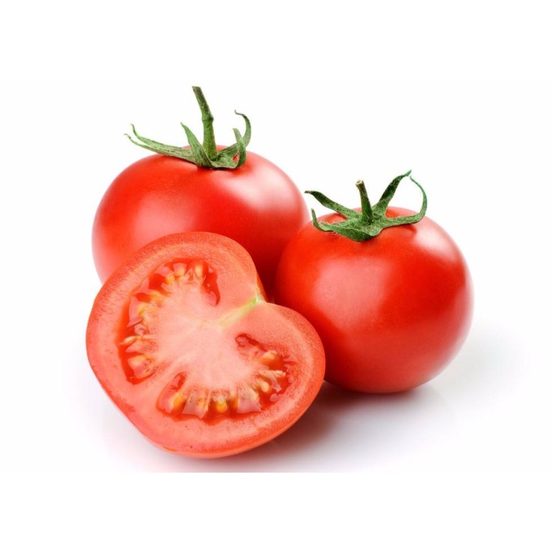 Tomato Powder Manufacturer - Dehydrated Vegetable
