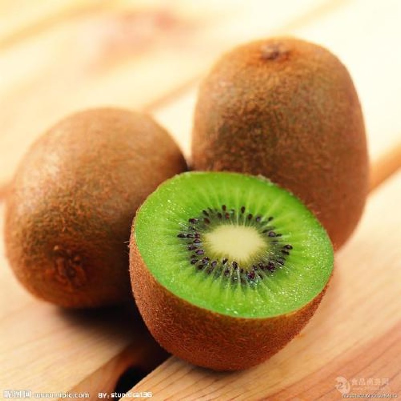 Kiwi Powder Manufacturer - Natural Organic Fruit