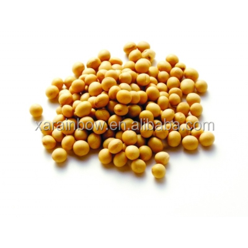 Soy Isoflavone Supplier - Extract Powder Bulk