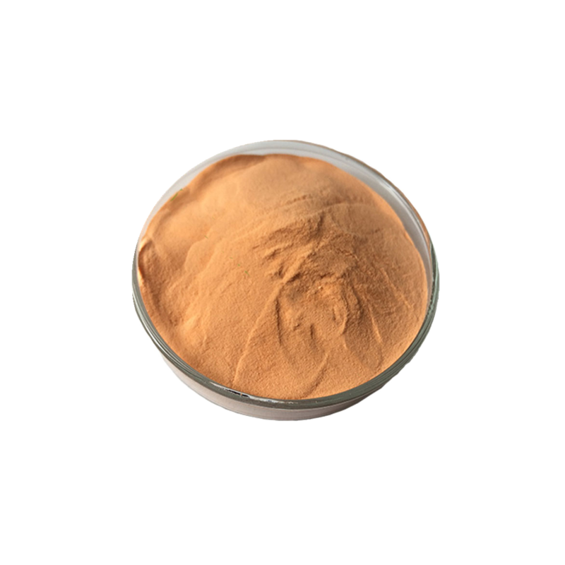 Carrot Powder Supplier - Dehydrated Juice Powder