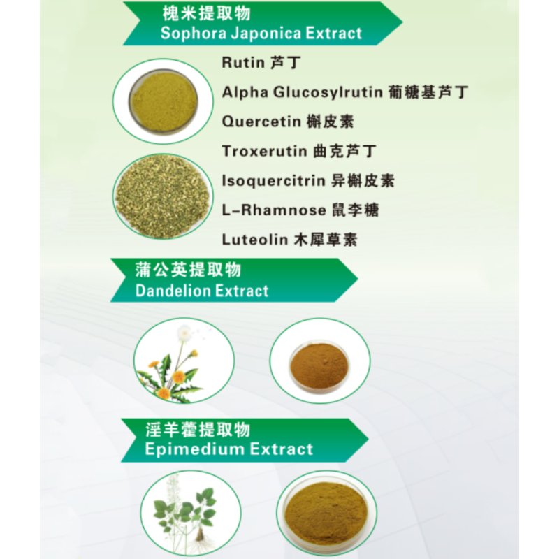 Epimedium Extract Manufacturer - 10% 20% Icariin