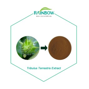 Tribulus Extract Supplier - 40% 90% Saponins Herbal