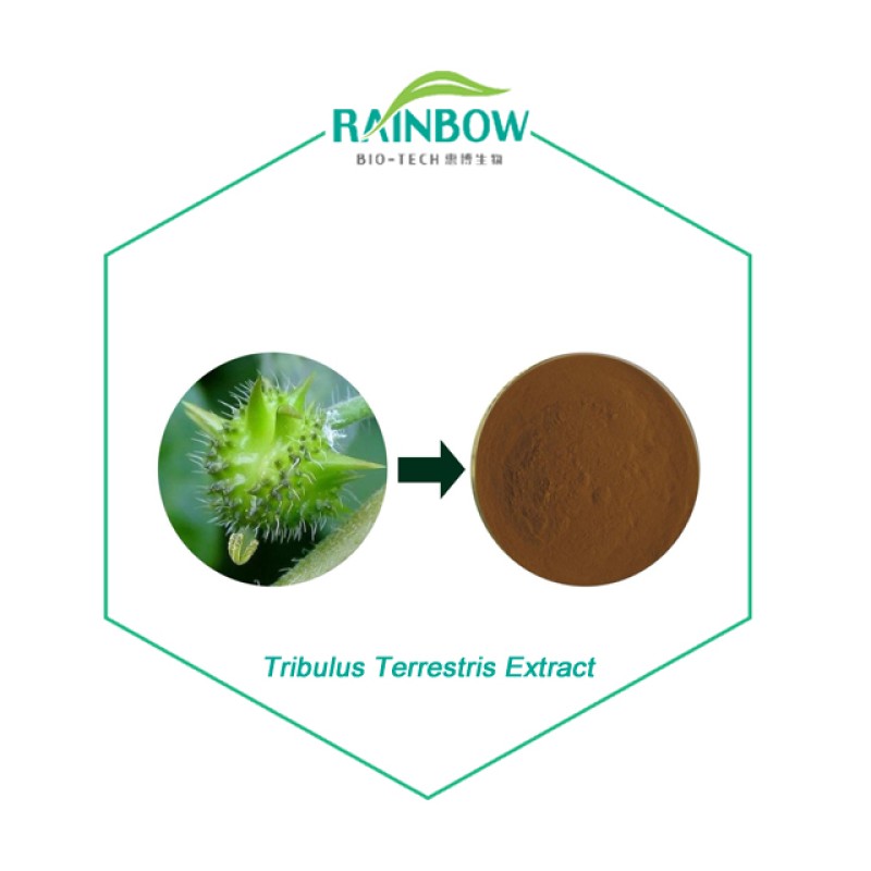 Tribulus Extract Supplier - 40% 90% Saponins Herbal