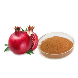 Pomegranate Extract Manufacturer - Peel Powder Pure