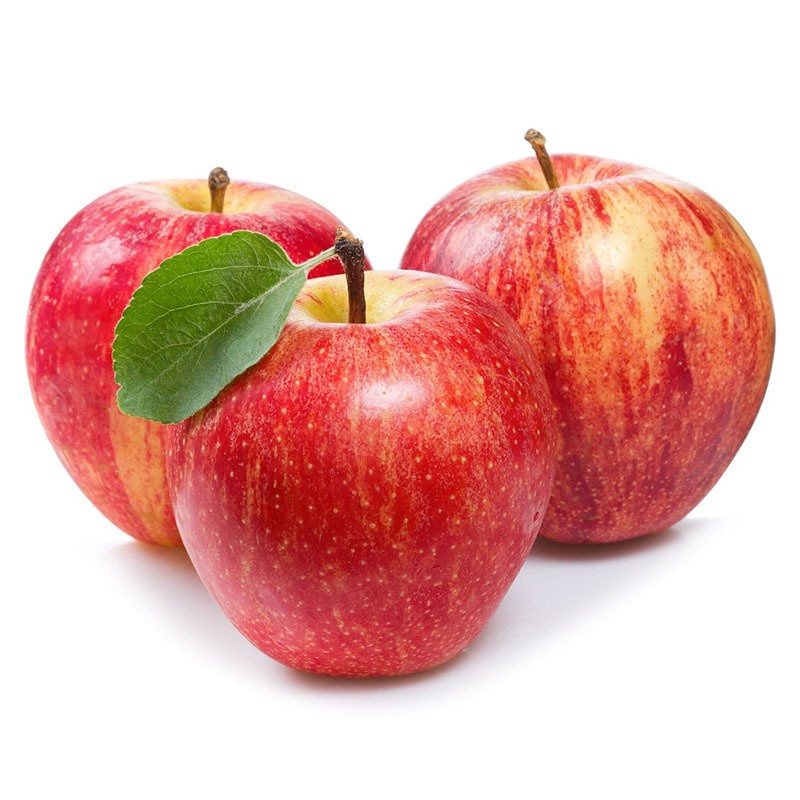 Apple Powder Manufacturer - Natural Organic Fruit