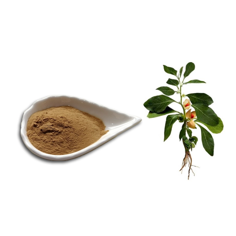 Ashwagandha Extract Manufacturer - 1% 5% Withanolides