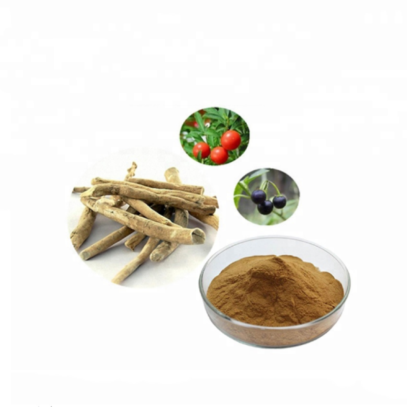 Ashwagandha Extract Manufacturer - 1% 5% Withanolides