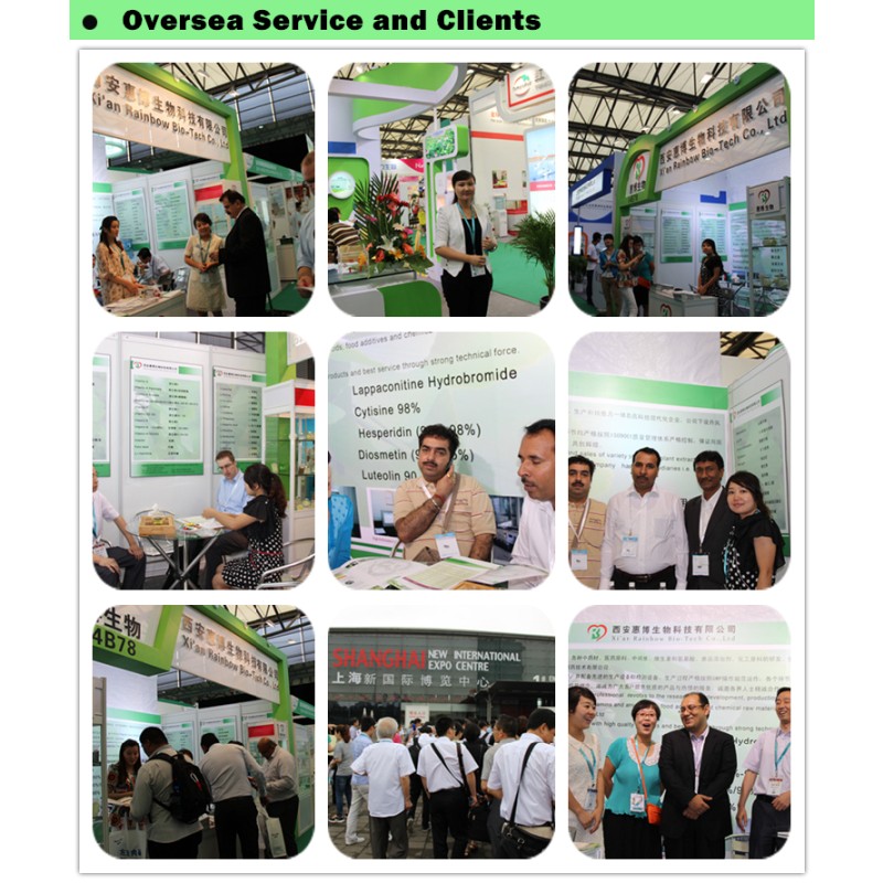 Matcha Powder Manufacturer - 100% Organic Green Tea Powder