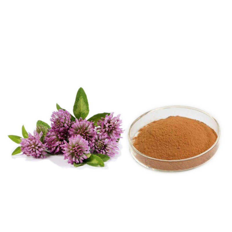 Red Clover Extract Factory - 8% Isoflavones Powder