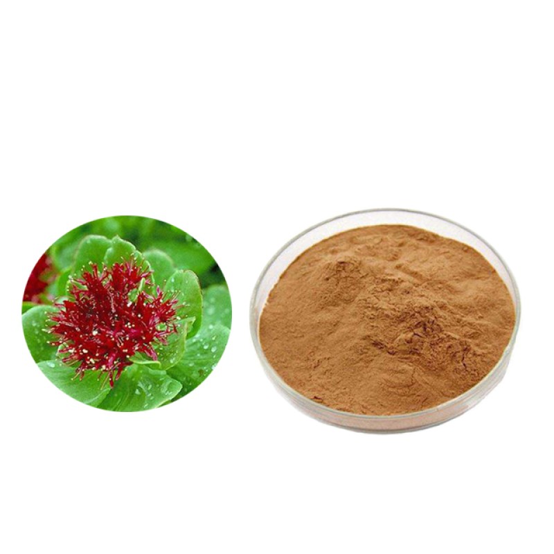 Rhodiola Extract Manufacturer - 3% Rosavin Root Powder