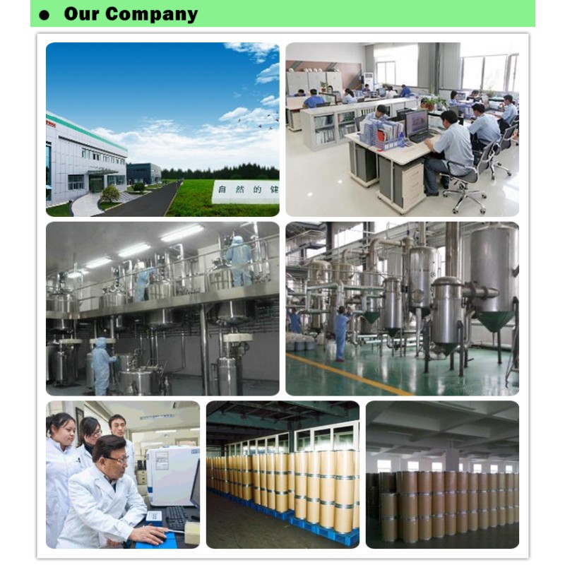 Menthyl Lactate Factory - CAS 59259-38-0 Bulk