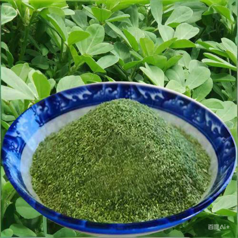 Alfalfa Powder Supplier - Natural Organic Green