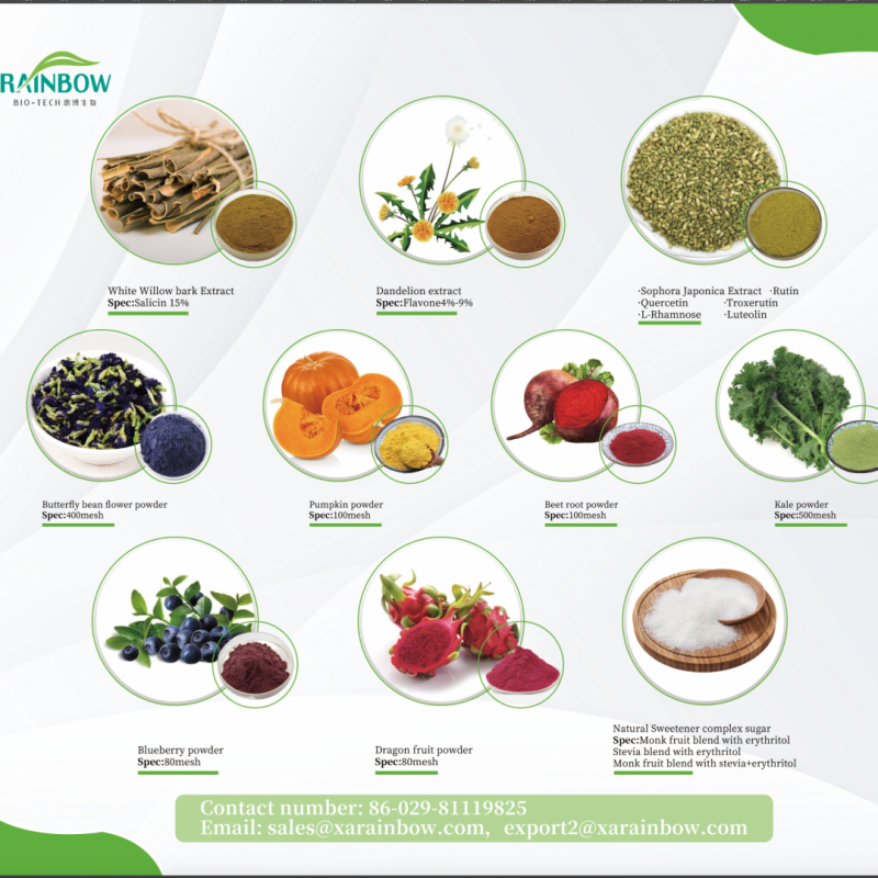 Lavender Powder Manufacturer - Antioxidant Extract