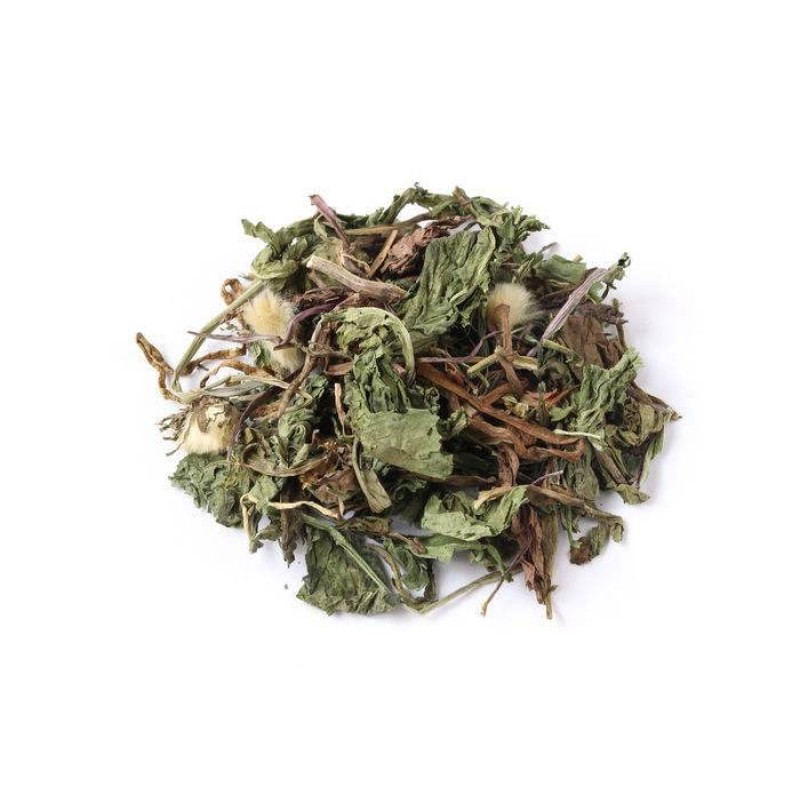Dandelion Root Supplier - Chinese Herbal Medicine Wholesale