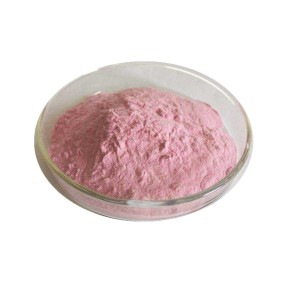 Acerola Powder Factory - Juice Extract VC Powder