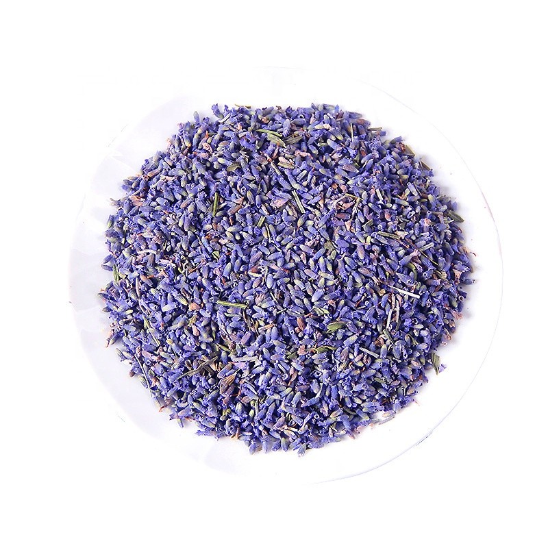 Lavender Powder Manufacturer - Antioxidant Extract