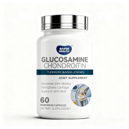 Glucosamine Chondroitin Capsules Manufacturer - Joint Support
