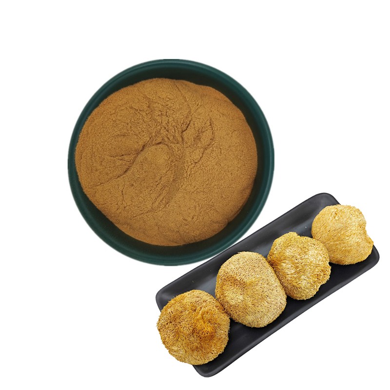 Lions Mane Capsules Manufacturer - Mushroom Extract Organic