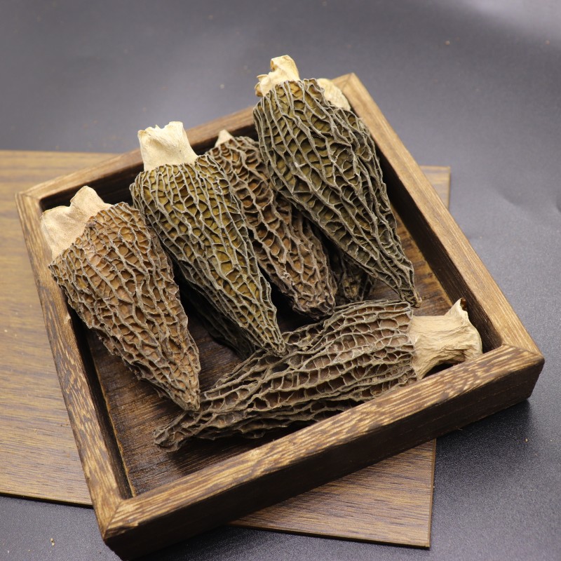 Morel Mushroom Supplier - Dry Whole Morchella