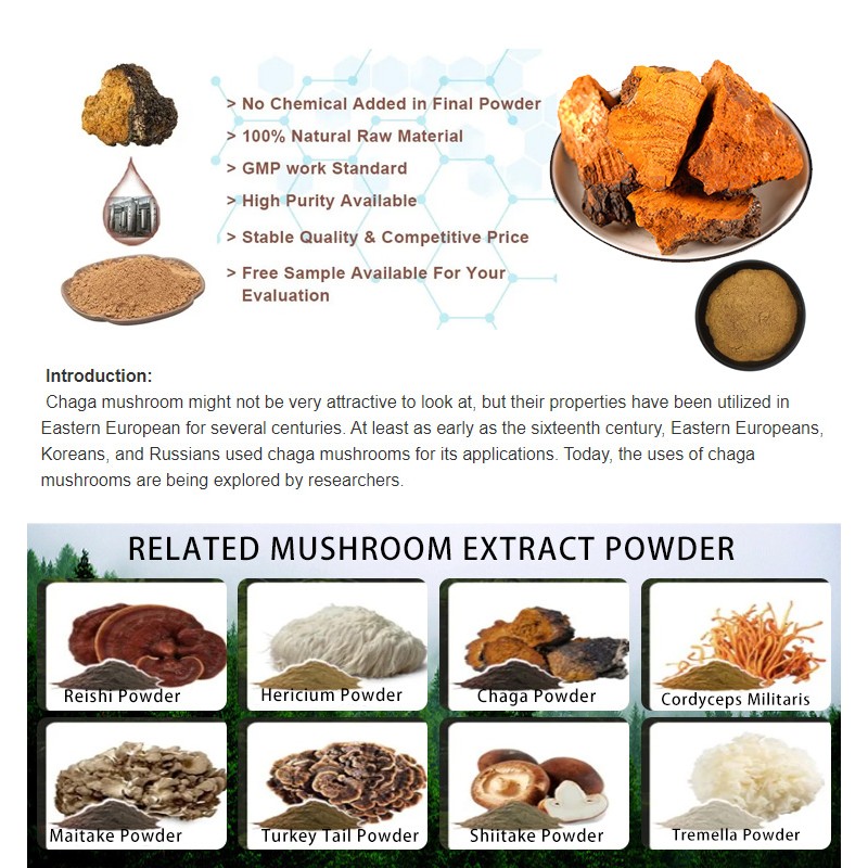 Chaga Extract Powder Factory - 10:1 Polysaccharide