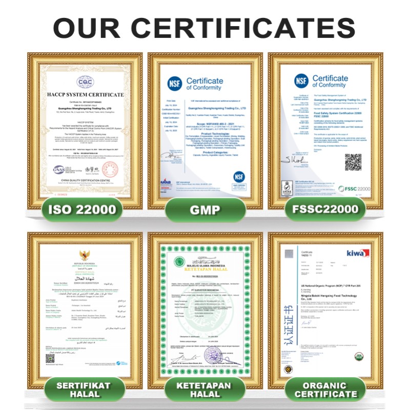 Mushroom Gummies Supplier - Immune Support Custom Bags