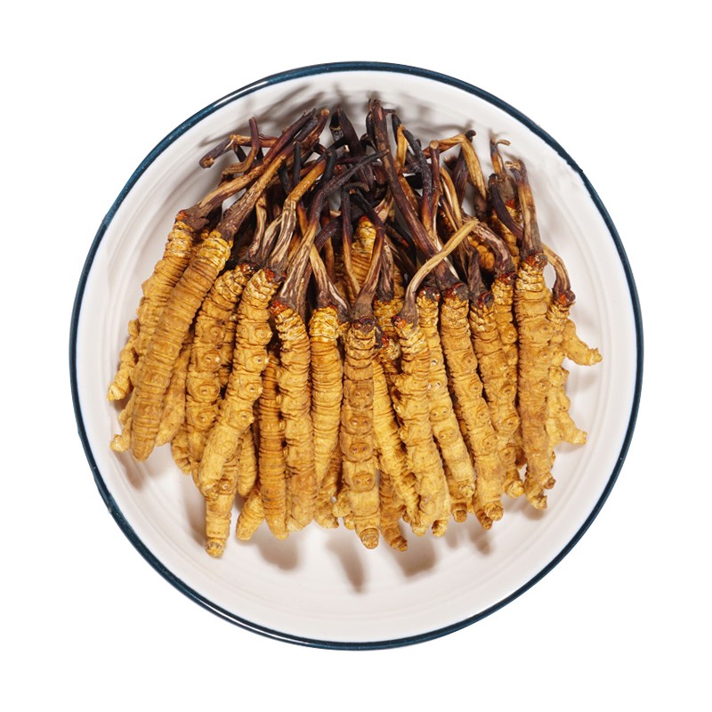 Cordyceps Powder Factory - Tibet Whole Plant Air Dried