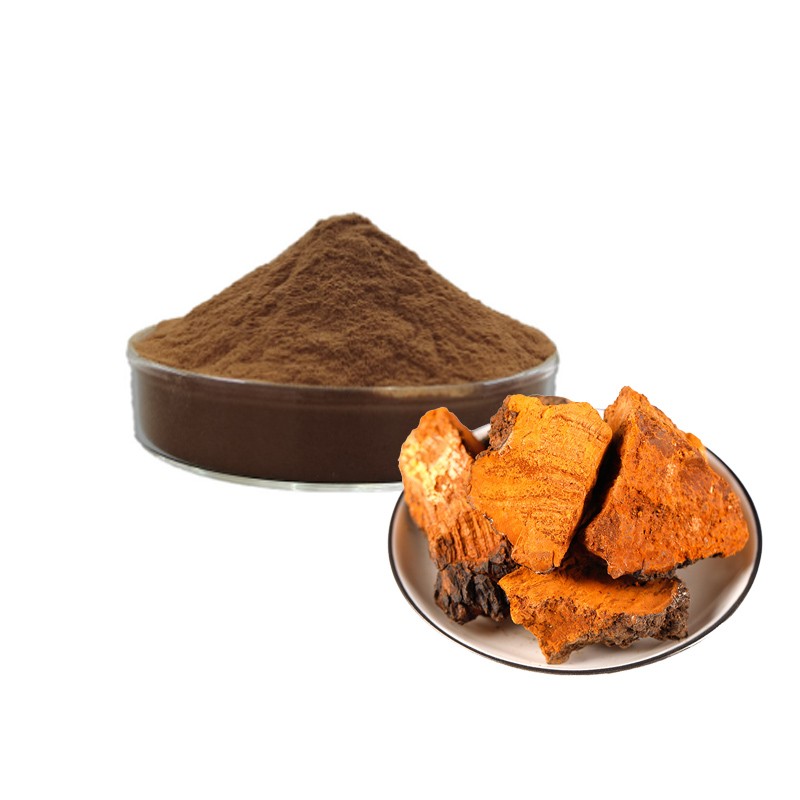 Chaga Extract Powder Factory - 10:1 Polysaccharide
