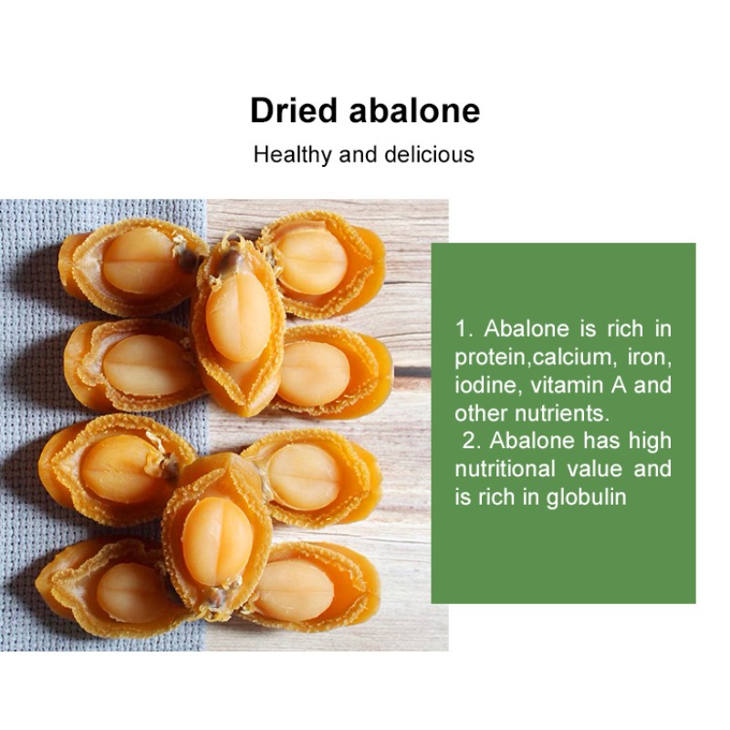 Air Dried Abalone Factory - Yellow Natural Shellfish