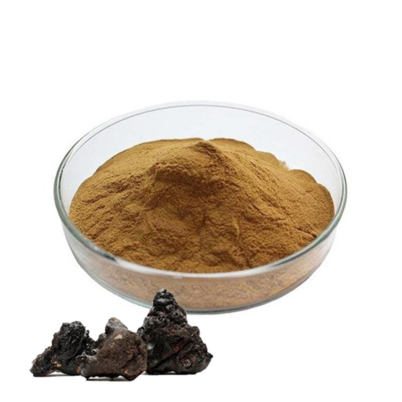 Shilajit Resin Manufacturer - Himalayan Hilazi Cream