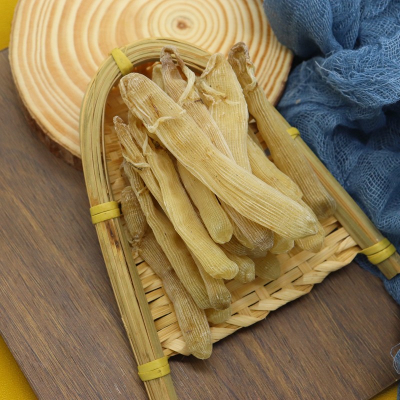 Sandworm Factory - Artificial Breeding Dried