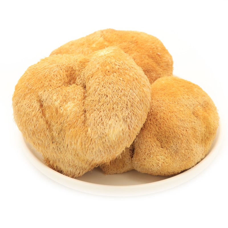 Cocklebur Mushroom Manufacturer - Deep Mountain Large