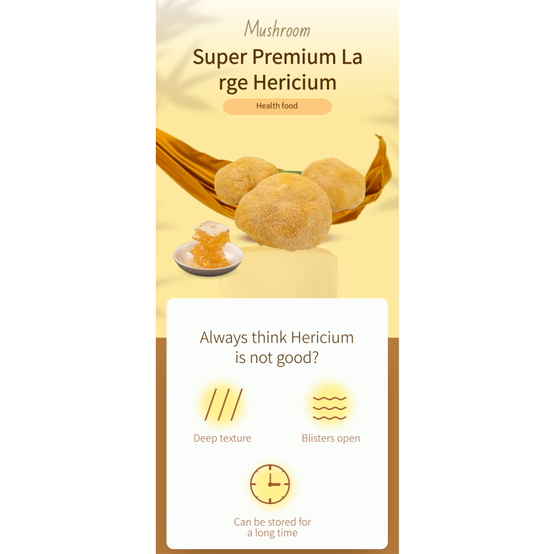 Cocklebur Mushroom Supplier - High Quality Nourishing