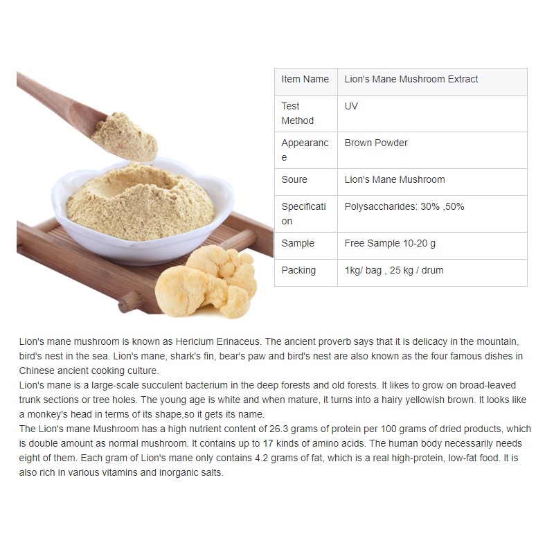 Lions Mane Powder Manufacturer - Hericium Erinaceus