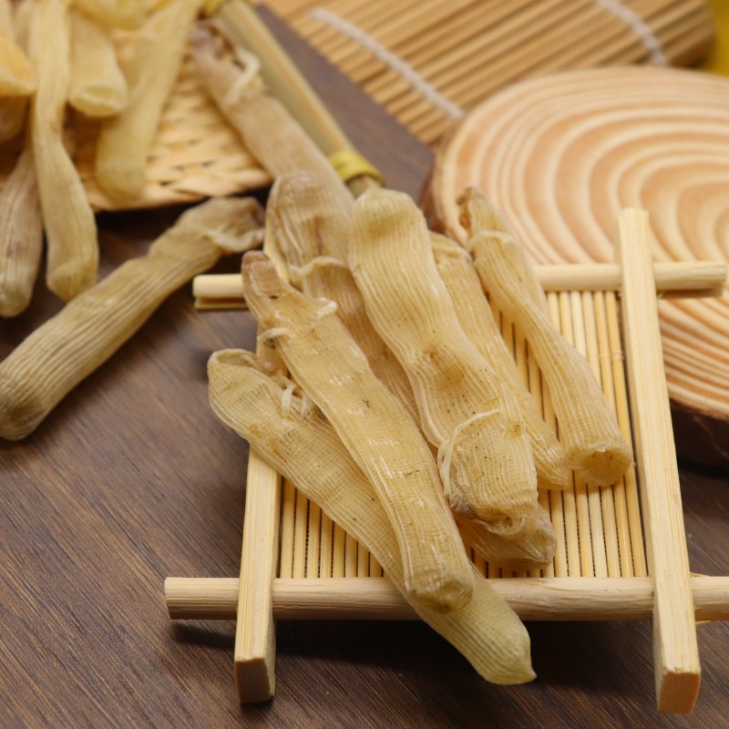 Sandworm Factory - Artificial Breeding Dried