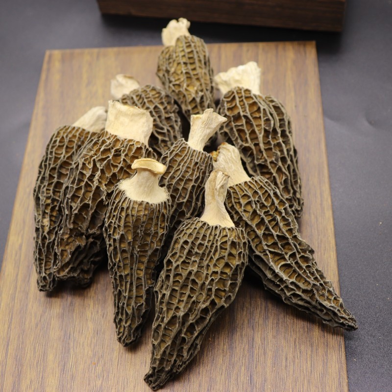 Morel Mushroom Supplier - Dry Whole Morchella