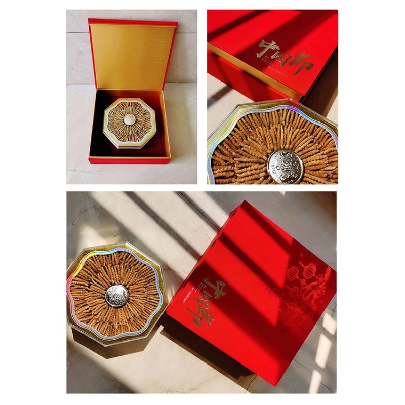 Cordyceps Extract Manufacturer - Tibet Powder Whole Plant