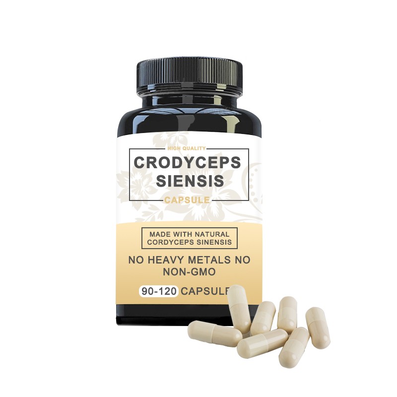 Cordyceps Extract Manufacturer - 50% Polysaccharides