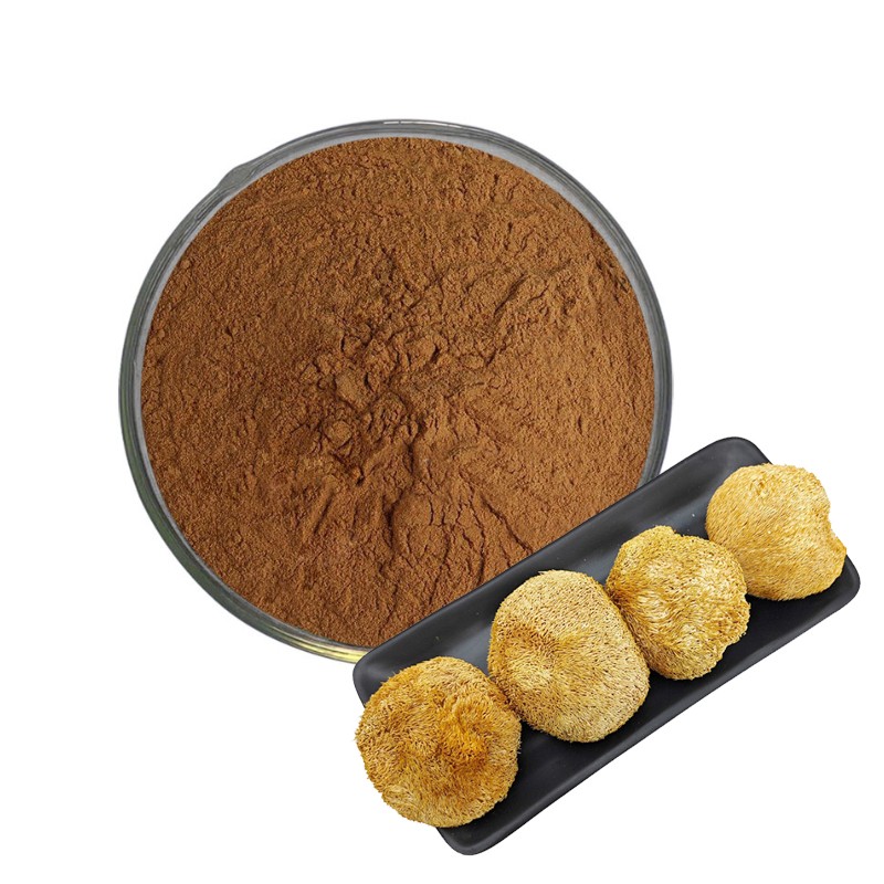 Lions Mane Powder Factory - Dried Extract Bulk