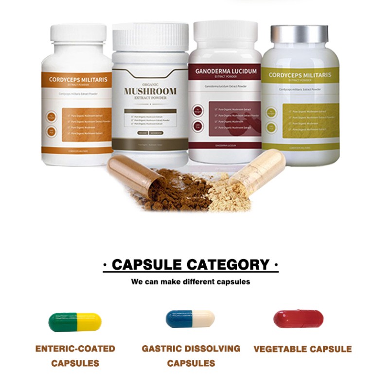 Lions Mane Powder Manufacturer - Tablet Capsule OEM