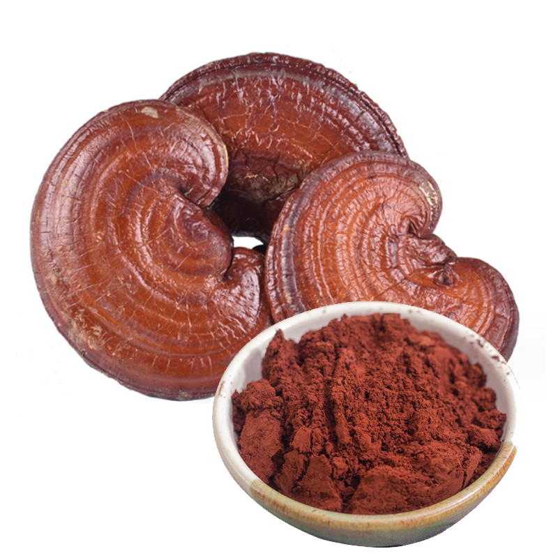 Reishi Powder Factory - Ganoderma Lucidum Extract