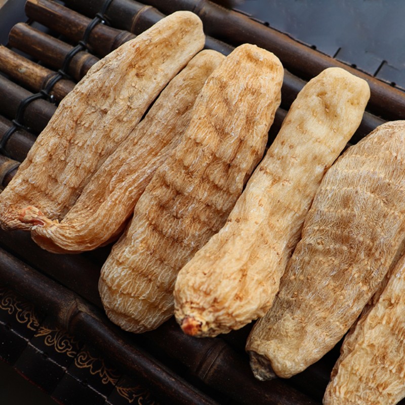 Gastrodia Tuber Supplier - Organic Tian Ma Wholesale