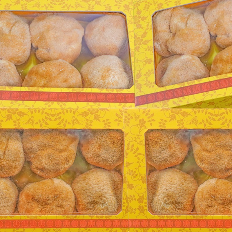 Cocklebur Mushroom Factory - Nourishing Hericium