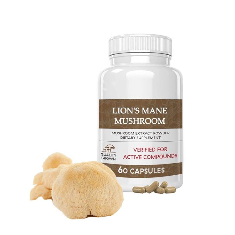 Lions Mane Powder Supplier - Hericium Erinaceus Extract