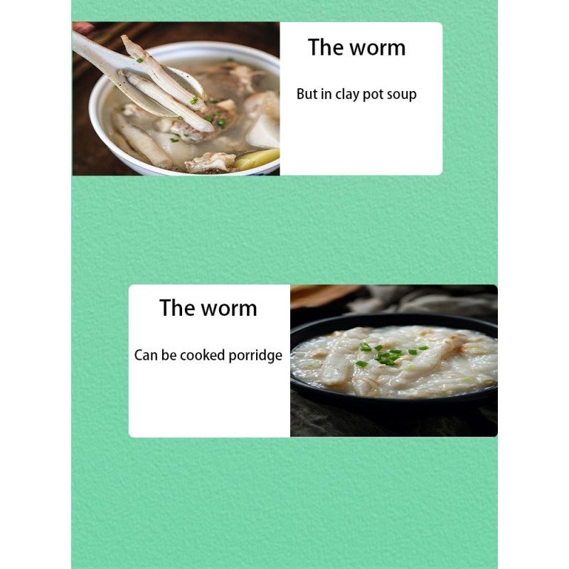 Sipunculus Nudus Factory - Guangdong Fresh