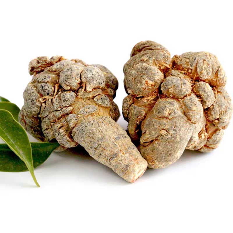 Notoginseng Root Manufacturer - Natural Dried Pseudo
