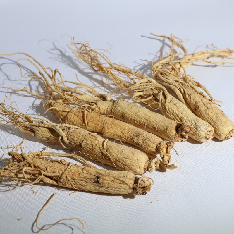 Ginseng Root Supplier - Changbai Mountain Raw