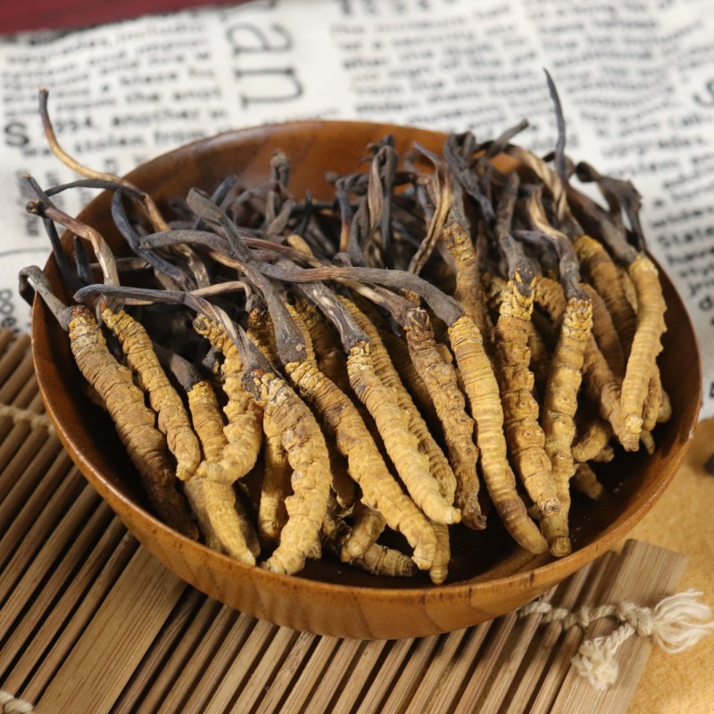 Cordyceps Extract Factory - Sinensis Militaris Blend