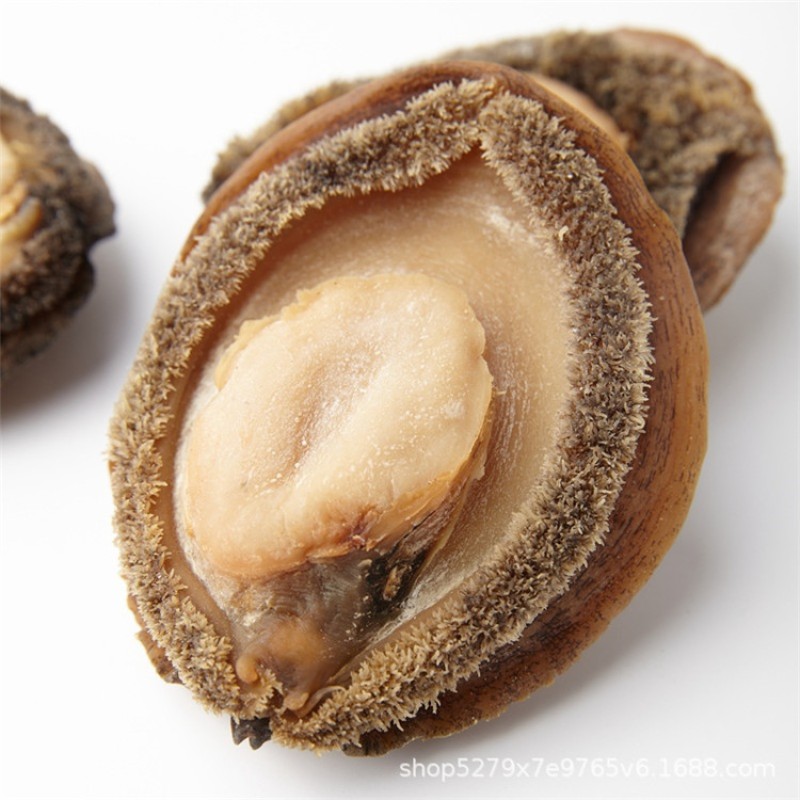 Raw Abalone Supplier - Shell Red Frozen