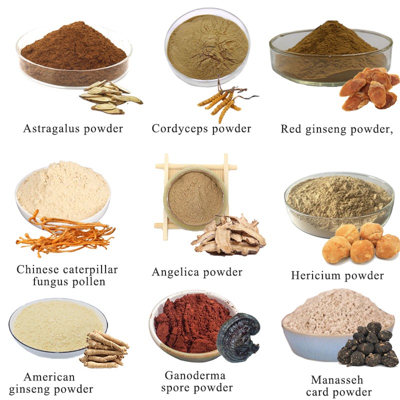 Cordyceps Powder Factory - Militaris Extract Organic